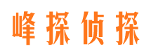 鄂托克前旗市场调查